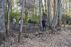Група доброволци с ръкавици и ножици за клони разчистват храсти в есенна широколистна гора